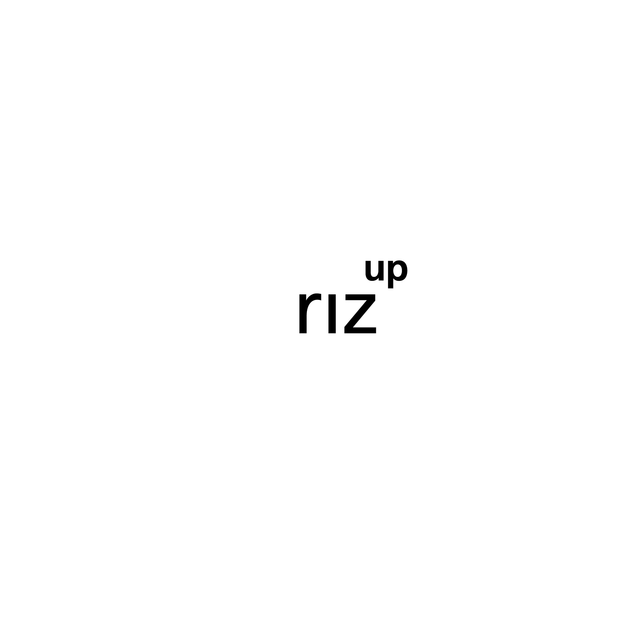 logo-rizup